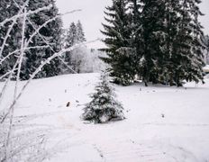 Загородный дом Вераги, Зима - фото 11