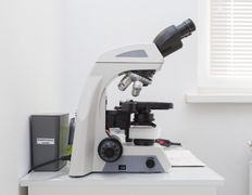 Ветеринарная клиника NAN Animal Clinic (НАН Энимал Клиник), Галерея - фото 16