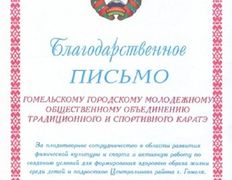 null Гомельское городское молодежное общественное объединение традиционного и спортивного каратэ, Наши награды - фото 9