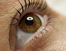 Салон красоты Шевелюра, Ламинирование ресниц - фото 9