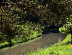 Санаторий Сосновый бор, Территория - фото 13