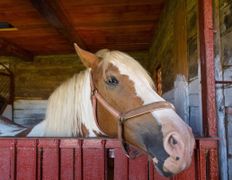 Парк средневековой истории Великое княжество Сула, Развлечения - фото 5