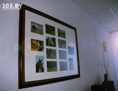 Психолог-практик Алешкович Жанна Михайловна, Интерьер - фото 12