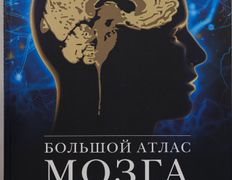 null Центр когнитивно-поведенческой терапии, Интерьер - фото 17
