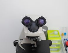 Ветеринарная клиника NAN Animal Clinic (НАН Энимал Клиник), Галерея - фото 19