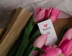 Медицинский центр ТиАмо, Галерея - фото 1