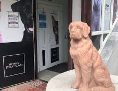 Ветеринарная клиника ВетЗооЦентр, Галерея - фото 6