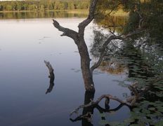 null Коттедж на озере Должа, Рыбалка - фото 20