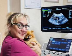 Ветклиника МогВетЛига, Галерея - фото 2