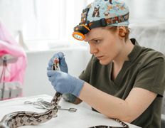 Ветеринарная клиника Компаньон, Интерьер - фото 15