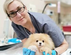 Ветклиника МогВетЛига, Галерея - фото 3