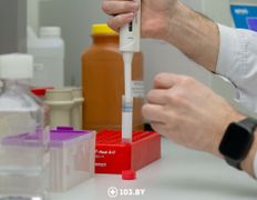 null Республиканский научно-практический центр детской онкологии, гематологии и иммунологии, Лаборатория генетических биотехнологий - фото 7