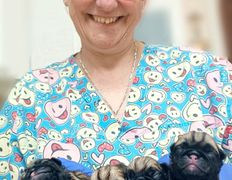 Ветклиника МогВетЛига, МогВетЛига - фото 13