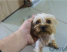 Ветеринарный центр Семь жизней, Галерея - фото 14