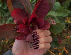 Мастерская красоты АлтаДеан, Маникюр и педикюр - фото 16