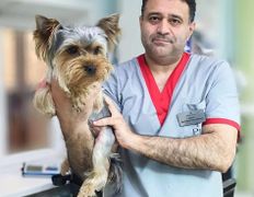 Ветеринарная клиника ВетЗооЦентр, ВетЗооЦентр - фото 5