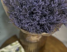 null Svetlana Kulesho Beauty Studio (Светлана Кулешо Бьюти Студио), Интерьер - фото 5