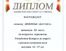 null Гомельское городское молодежное общественное объединение традиционного и спортивного каратэ, Наши награды - фото 8