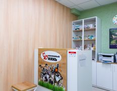 Ветклиника Хвостатый нянь, Интерьер - фото 4