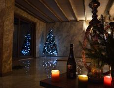 Вилла Vice house (Вайс хаус), Новый год 2025 - фото 9