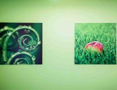 Стоматология ВиПДента, Галерея - фото 8