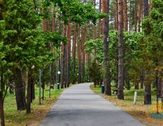 Санаторий Рассвет-Любань, Территория - фото 14