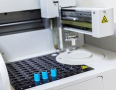 Ветеринарный центр КакадуВет, Галерея - фото 5