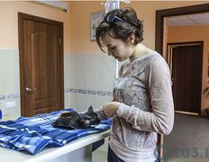 Ветеринарный центр Семь жизней, Галерея - фото 19