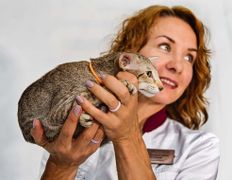 Ветеринарная клиника ЭкспертВет, Галерея - фото 4