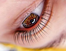 Имидж-студия Мажорка, Услуги по уходу за ресницами - фото 2