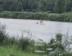 База отдыха Елки иголки, Территория - фото 4