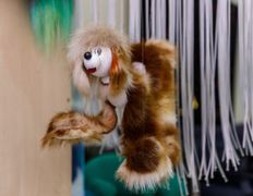 null Психологический семейный центр развития, Галерея - фото 8