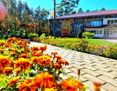 Оздоровительный комплекс Чайка, Территория - фото 13