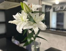 Студия массажа  RESET.ME (РЕЗЕТ.МИ), Галерея - фото 18