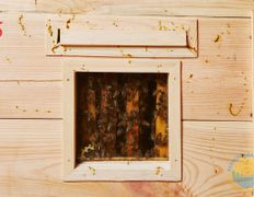 Санаторий Сосновый бор, Лечебная база - фото 1