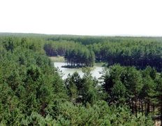 Санаторий Радон, Ландшафт - фото 6