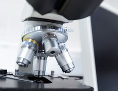 null Ветеринарный центр доктора Базылевского А.А. Филиал «Могилев», Галерея - фото 7