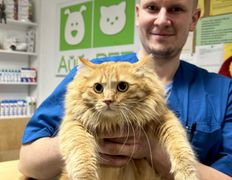 Ветеринарная клиника  АйбиВЕТ, Галерея - фото 7