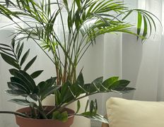 null Svetlana Kulesho Beauty Studio (Светлана Кулешо Бьюти Студио), Интерьер - фото 4