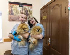 Ветклиника МогВетЛига, Галерея - фото 4