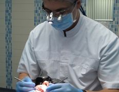 Стоматология Артстоматология, Галерея - фото 13