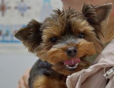 Ветклиника Эвия Верум, Галерея - фото 9