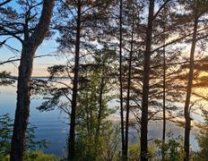 Оздоровительный комплекс Чайка, Территория - фото 20