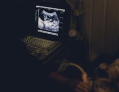 Ветклиника Эвия Верум, Галерея - фото 7