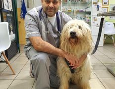 Ветеринарная клиника ВетЗооЦентр, ВетЗооЦентр - фото 1