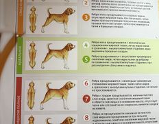 Ветеринарный центр  На Казимировке, Галерея - фото 14