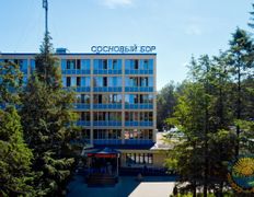 Санаторий Сосновый бор, Территория - фото 2