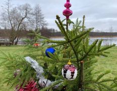 null Коттедж на озере Должа, Новый год 2025 - фото 7