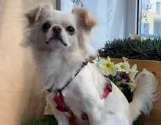 Ветеринарная клиника  АйбиВЕТ, Галерея - фото 20