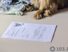 Ветеринарный центр Семь жизней, Галерея - фото 15